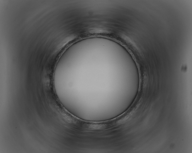 X0000092241305200710051231