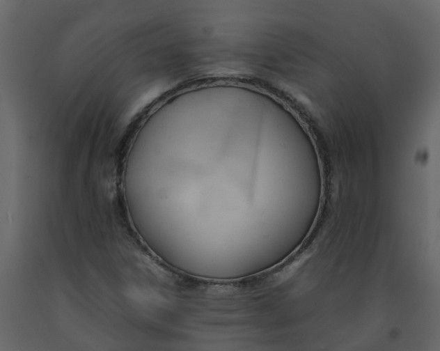 X0000092241306200710051231