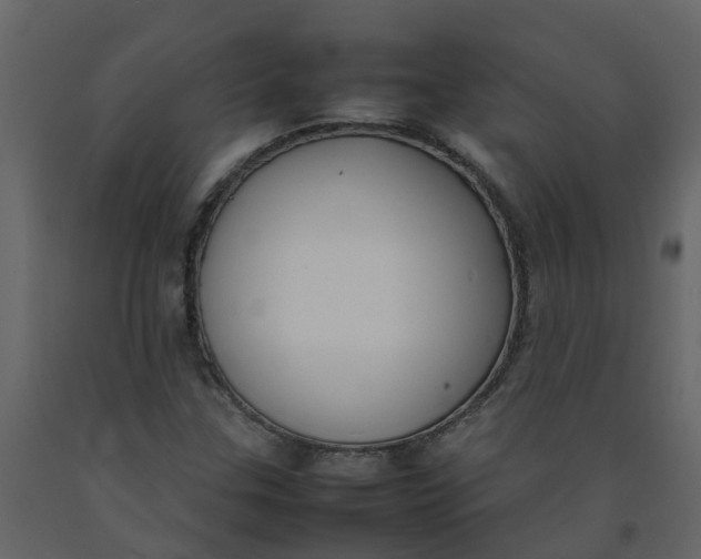 X0000092241307200710051231