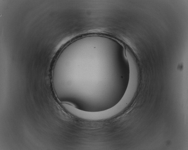 X0000092241308200710051231