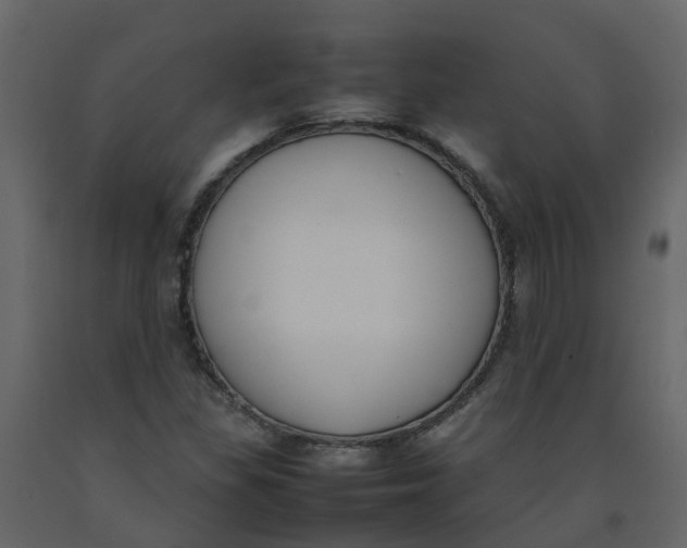 X0000092241309200710051231