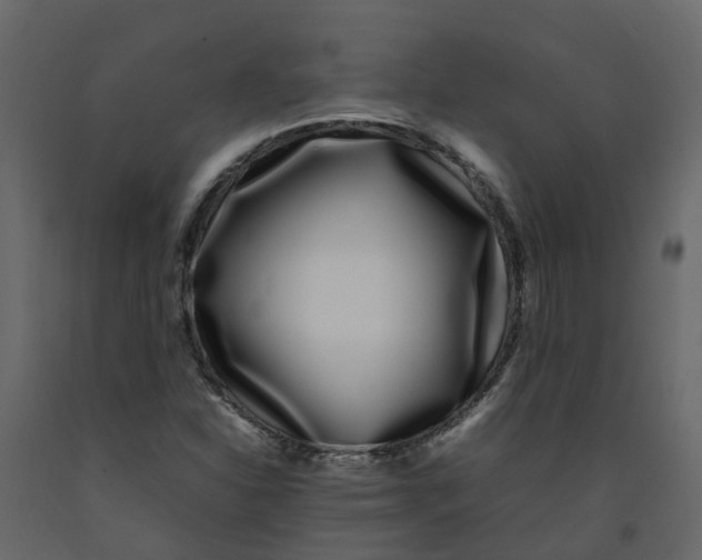 X0000092241310200710051231