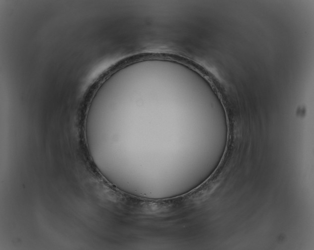 X0000092241311200710051231