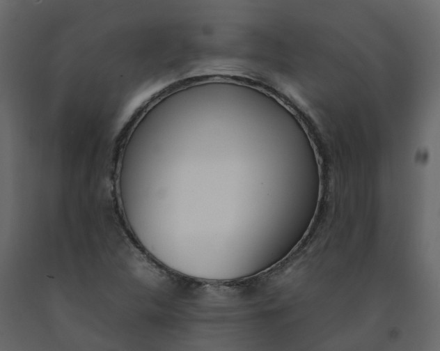 X0000092241312200710051231