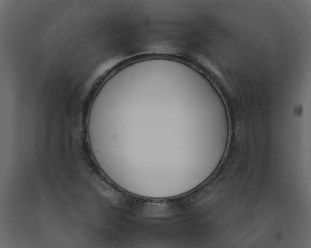 X0000092241315200710051231