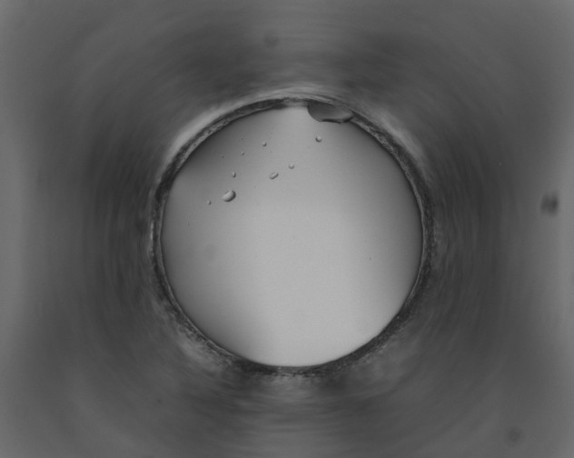 X0000092241316200710051231