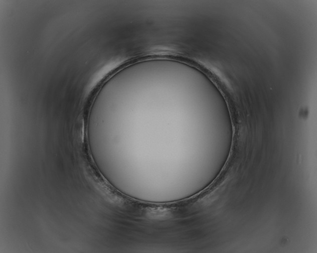 X0000092241317200710051231