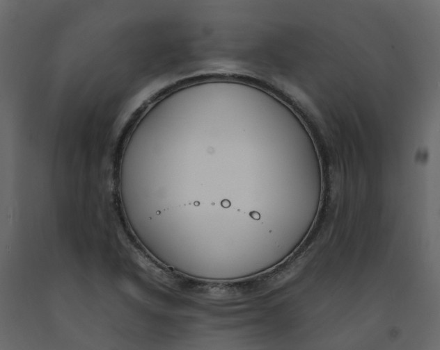 X0000092241318200710051231