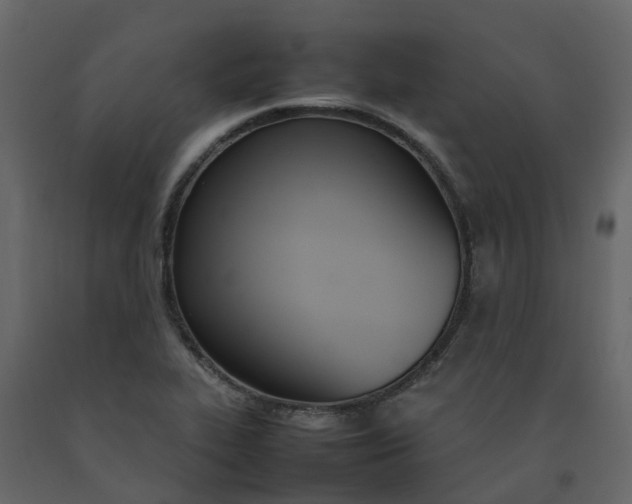 X0000092241319200710051231