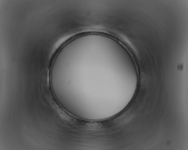 X0000092241320200710051231