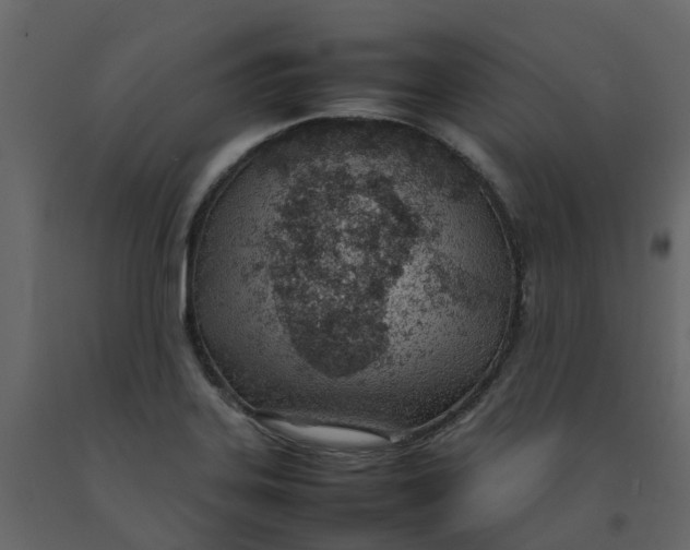 X0000092241323200710051231