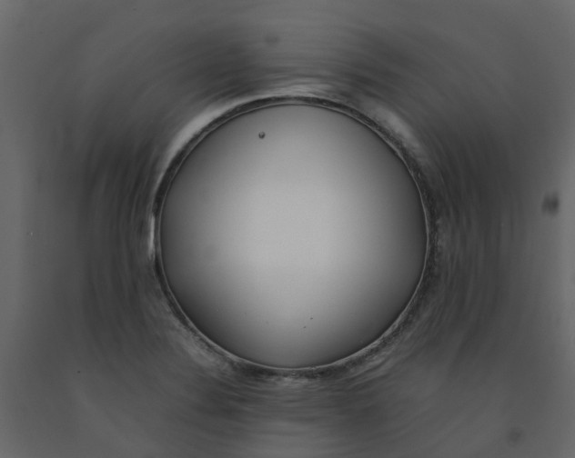 X0000092241324200710051231