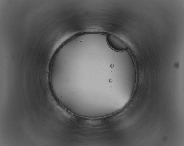 X0000092241325200710051231