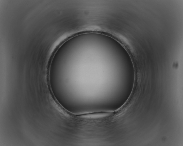 X0000092241326200710051231