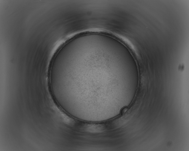 X0000092241327200710051231