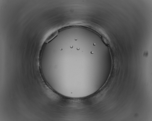 X0000092241328200710051231