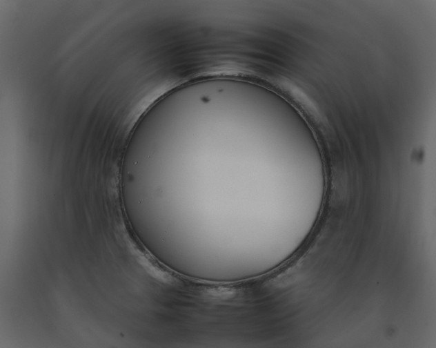 X0000092241329200710051231