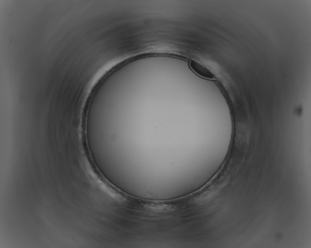 X0000092241331200710051231