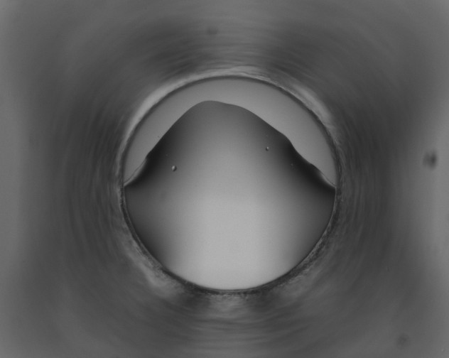 X0000092241332200710051231