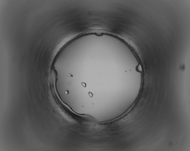 X0000092241333200710051231