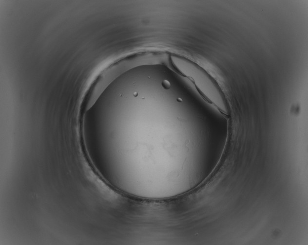 X0000092241334200710051231