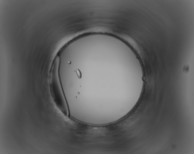 X0000092241335200710051231