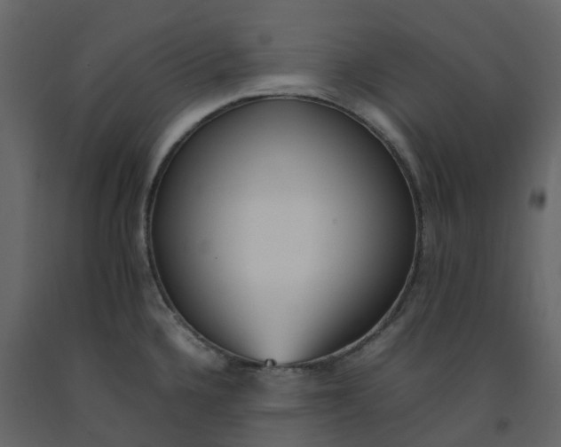 X0000092241336200710051231