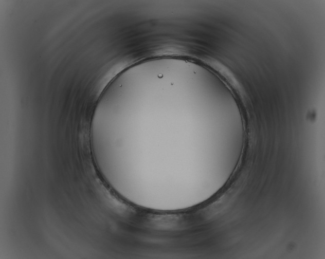 X0000092241337200710051231