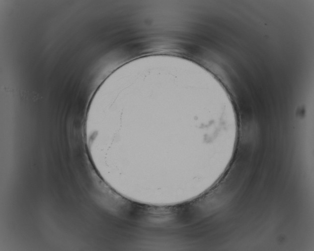 X0000092241338200710051231