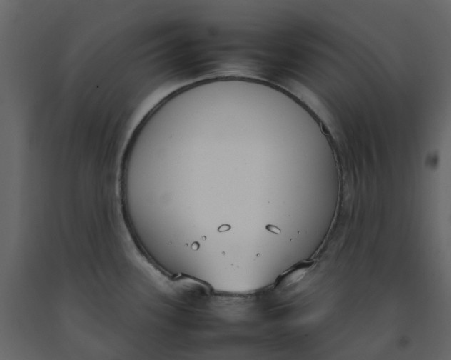 X0000092241339200710051231