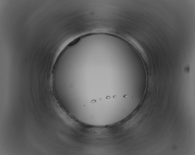 X0000092241340200710051231