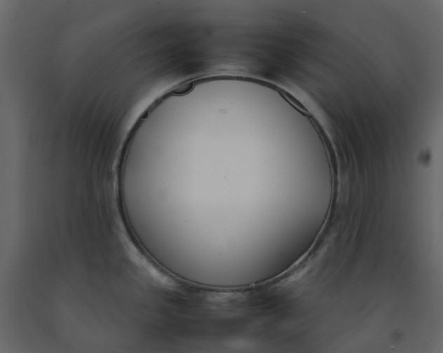 X0000092241341200710051231