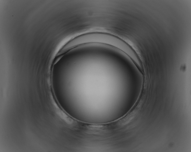 X0000092241342200710051231