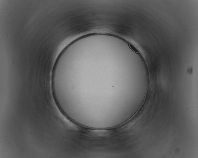 X0000092241343200710051231