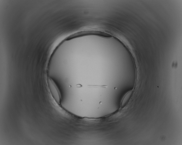 X0000092241344200710051231