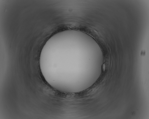 X0000092241345200710051230