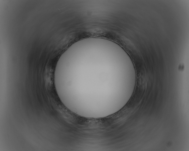 X0000092241346200710051230