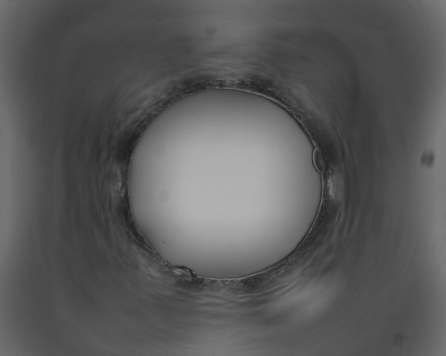 X0000092241347200710051230