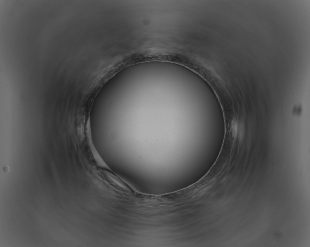 X0000092241348200710051230