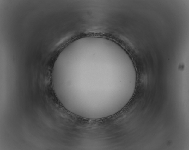 X0000092241350200710051230