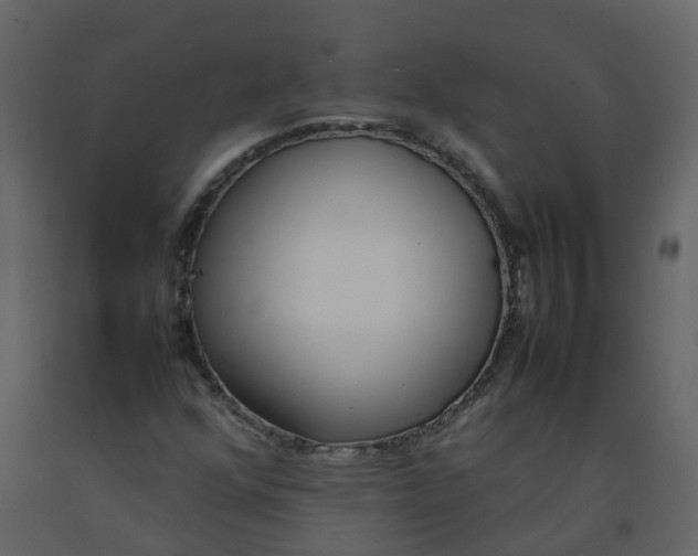 X0000092241352200710051230