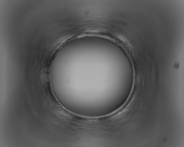 X0000092241353200710051230