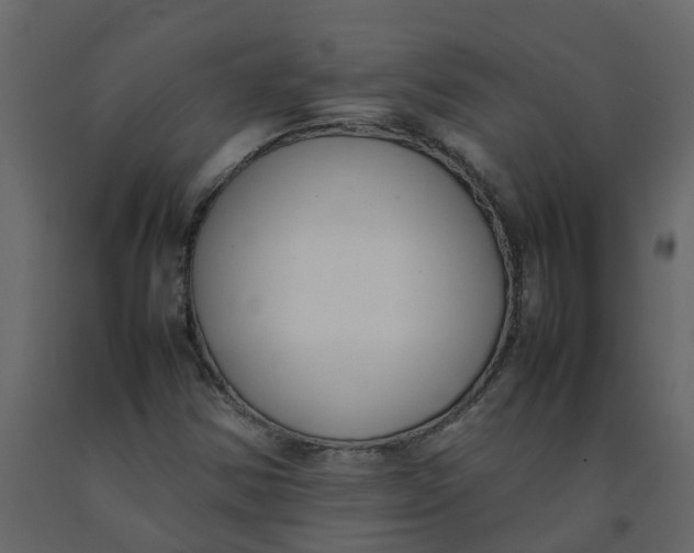 X0000092241354200710051230