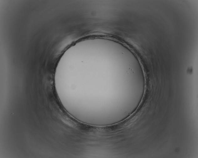 X0000092241355200710051230