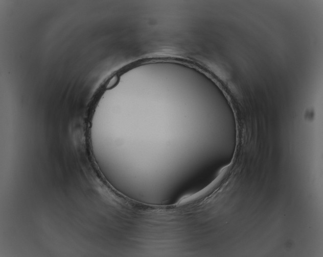 X0000092241356200710051230