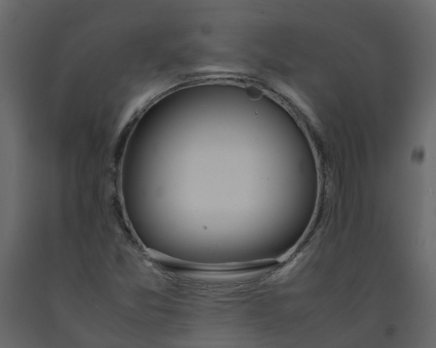 X0000092241357200710051230