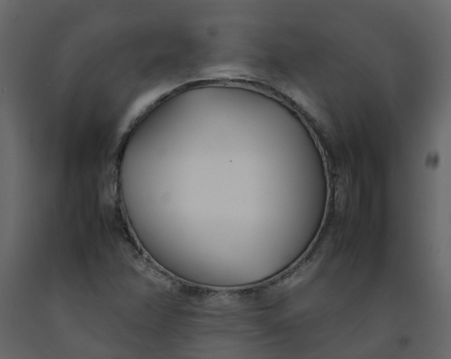 X0000092241358200710051230