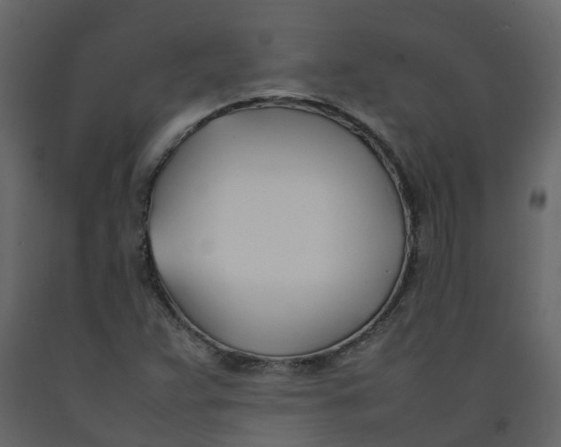 X0000092241359200710051230