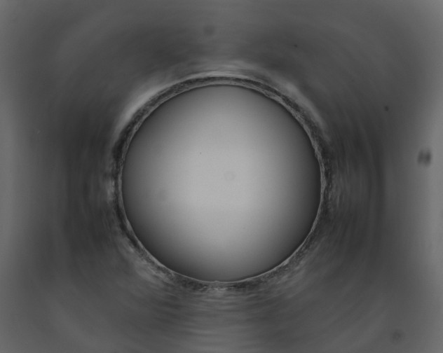 X0000092241360200710051230