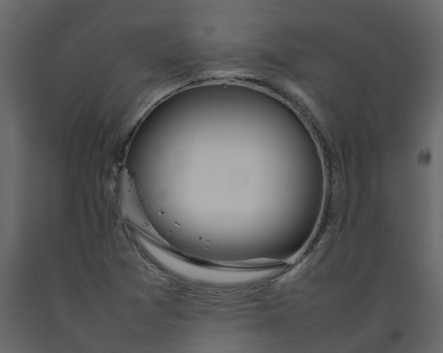 X0000092241361200710051230